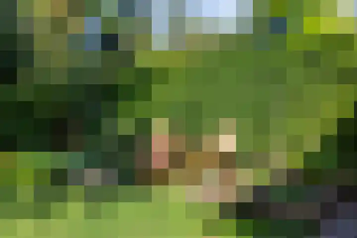 Hamelakkerlaan 4 Wageningen thumbnail 33