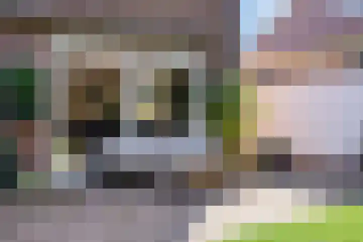 Hamelakkerlaan 4 Wageningen thumbnail 34