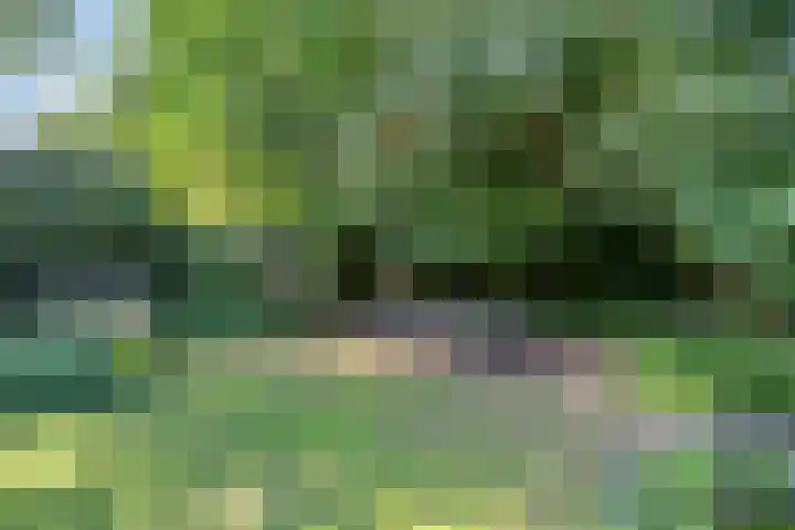 Hamelakkerlaan 4 Wageningen thumbnail 35