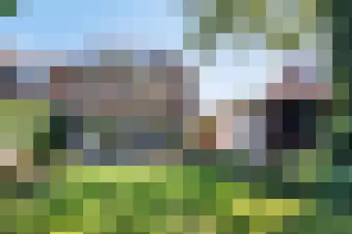 Hamelakkerlaan 4 Wageningen thumbnail 37