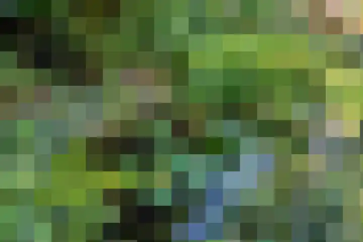 Hamelakkerlaan 4 Wageningen thumbnail 38