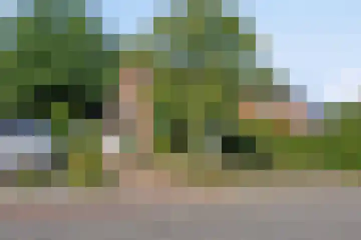 Hamelakkerlaan 4 Wageningen thumbnail 40