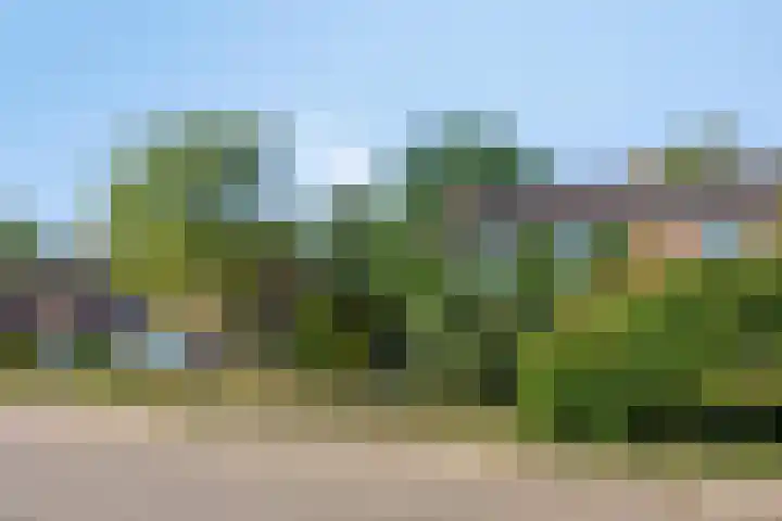Hamelakkerlaan 4 Wageningen thumbnail 41