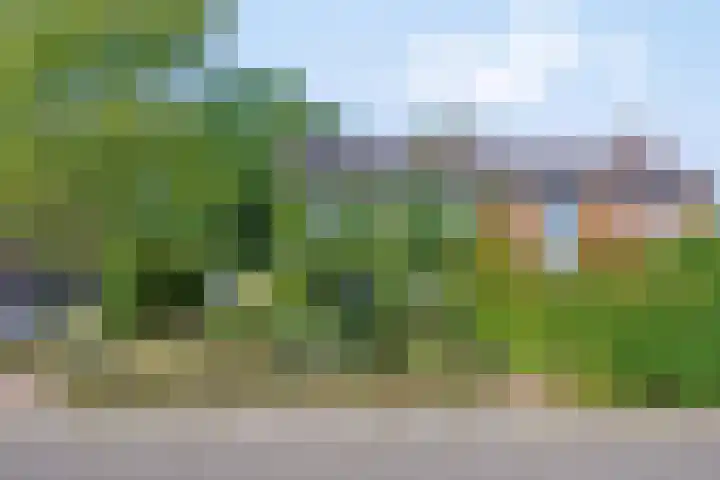Hamelakkerlaan 4 Wageningen thumbnail 5