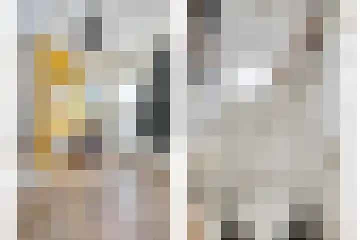 Hamelakkerlaan 4 Wageningen thumbnail 6