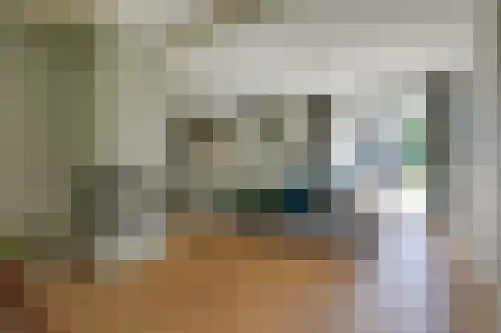 Hamelbergstraat 4 Overasselt thumbnail 10