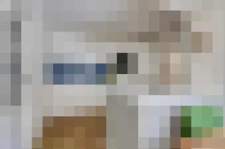Hamelbergstraat 4 Overasselt thumbnail 11