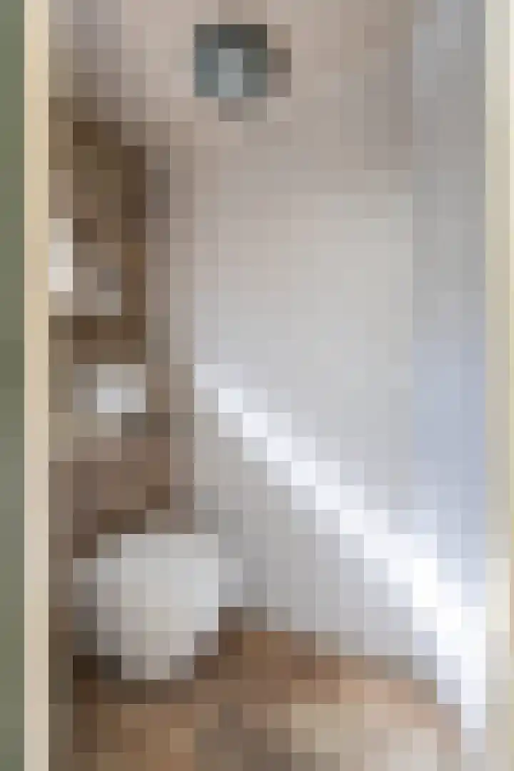 Hamelbergstraat 4 Overasselt thumbnail 21