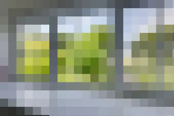 Hamelbergstraat 4 Overasselt thumbnail 34