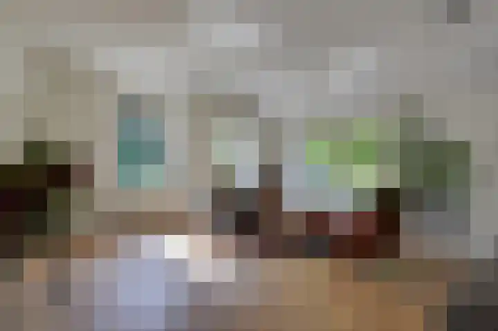 Hamelbergstraat 4 Overasselt thumbnail 6