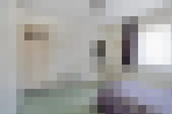 Hameldonk 12 Teteringen thumbnail 24