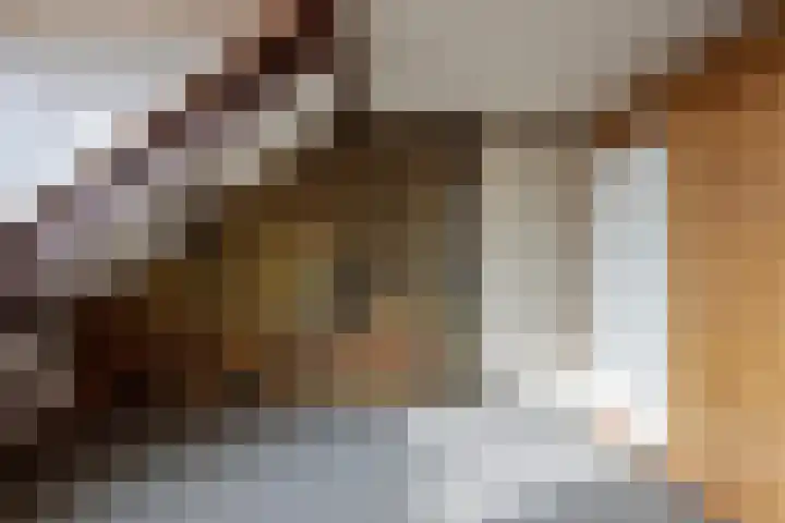 Hameldonk 20 Teteringen thumbnail 31