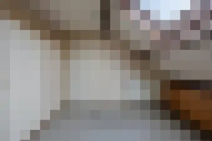 Hameldonk 20 Teteringen thumbnail 33