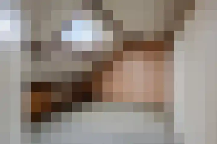 Hameldonk 20 Teteringen thumbnail 34