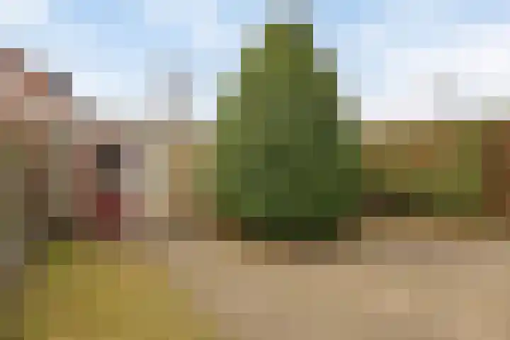 Hameldonk 20 Teteringen thumbnail 36