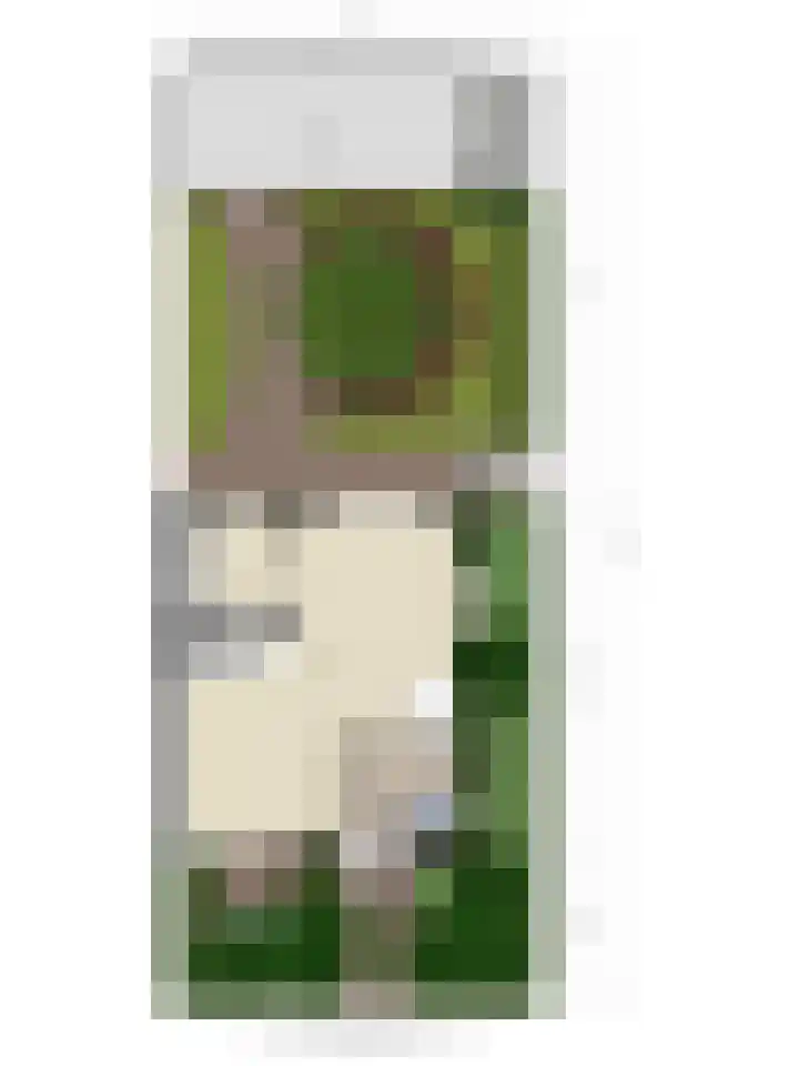 Hameldonk 20 Teteringen thumbnail 49