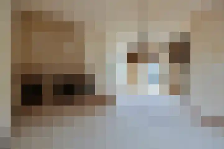 Hameldonk 20 Teteringen thumbnail 6