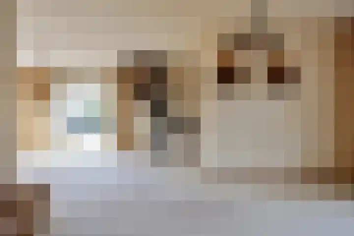 Hameldonk 20 Teteringen thumbnail 8
