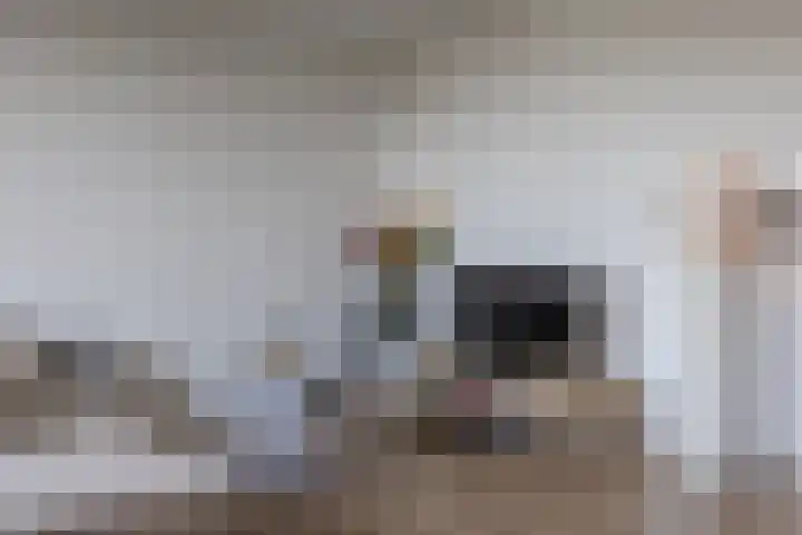 Hameldonk 23 Teteringen thumbnail 12