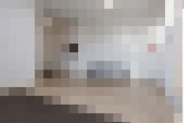 Hameldonk 23 Teteringen thumbnail 32