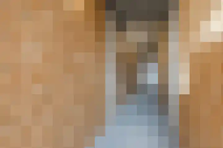 Hameldonk 23 Teteringen thumbnail 33