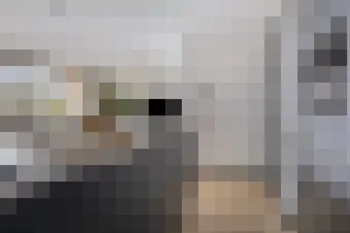 Hameldonk 25 Teteringen thumbnail 18