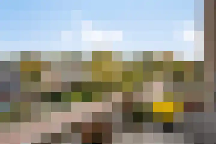 Hameldonk 25 Teteringen foto 2