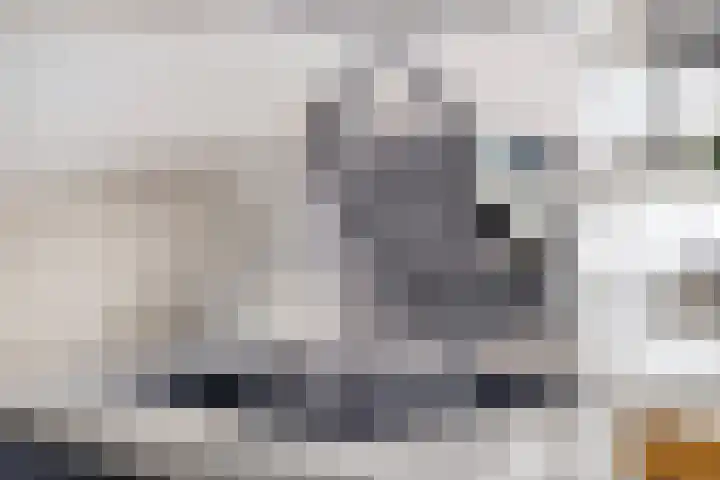 Hameldonk 25 Teteringen thumbnail 21