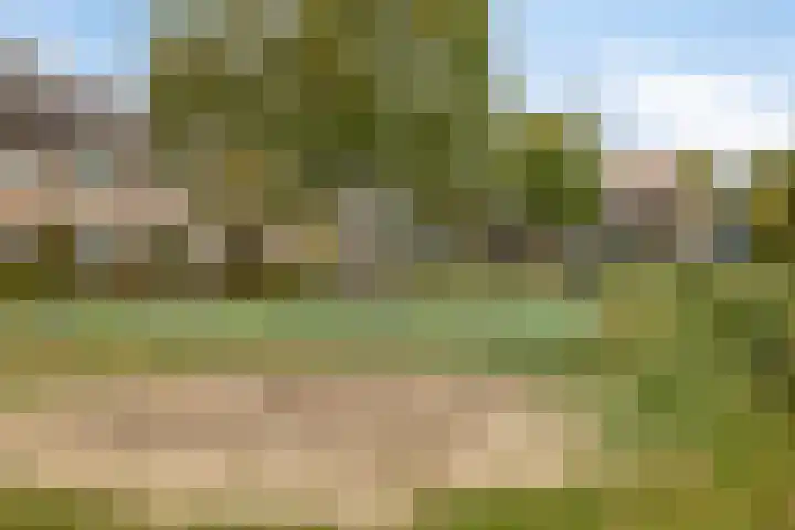 Hameldonk 25 Teteringen thumbnail 37
