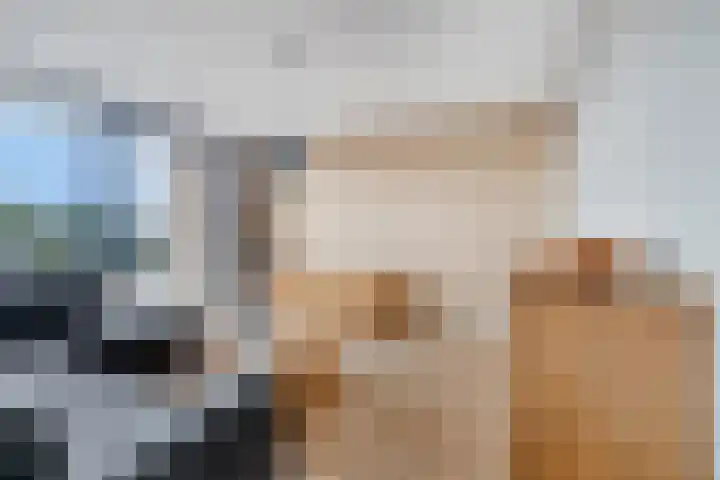 Hameldonk 49 Teteringen thumbnail 13