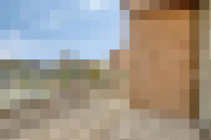 Hameldonk 49 Teteringen thumbnail 16