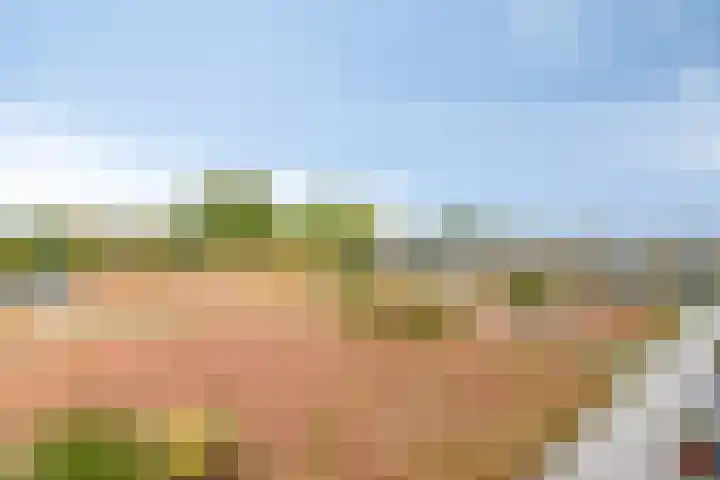 Hameldonk 49 Teteringen thumbnail 27