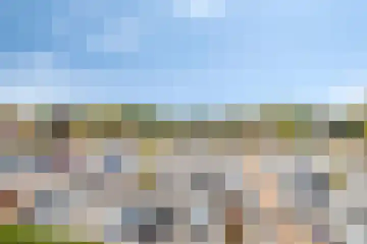 Hameldonk 49 Teteringen thumbnail 28
