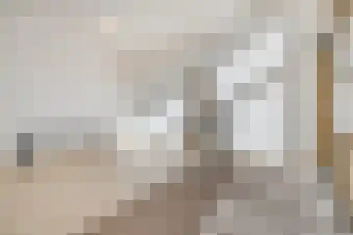 Hameldonk 49 Teteringen thumbnail 7