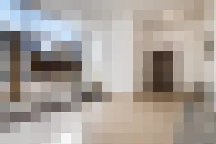 Hameldonk 49 Teteringen thumbnail 8
