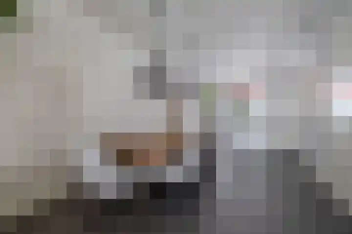 Hamelijnckhof 5 Beek en Donk thumbnail 13