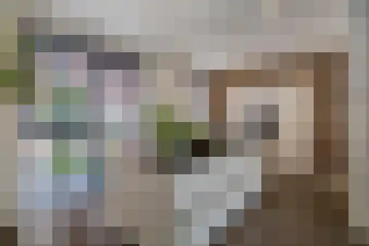 Hamelijnckhof 5 Beek en Donk thumbnail 14