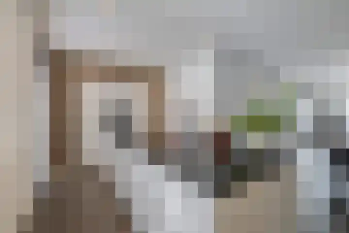Hamelijnckhof 5 Beek en Donk thumbnail 15