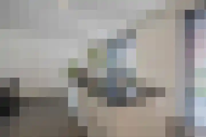 Hamelijnckhof 5 Beek en Donk thumbnail 16