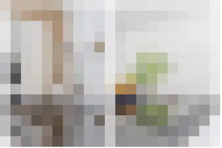 Hamelijnckhof 5 Beek en Donk thumbnail 17