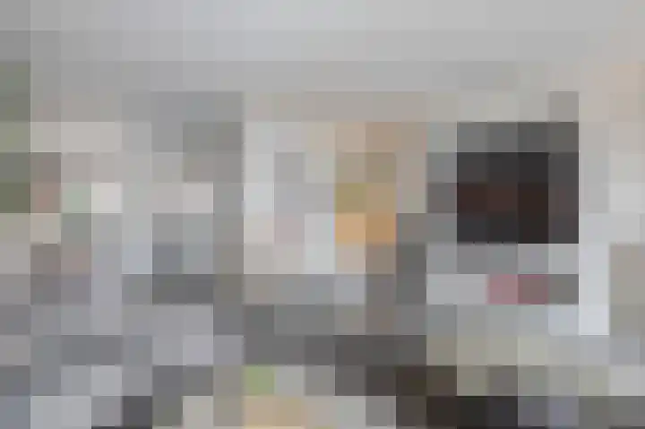 Hamelijnckhof 5 Beek en Donk thumbnail 20