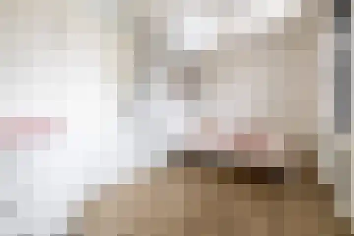 Hamelijnckhof 5 Beek en Donk thumbnail 24
