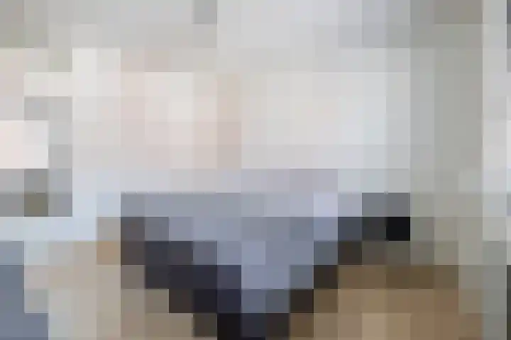 Hamelijnckhof 5 Beek en Donk thumbnail 27