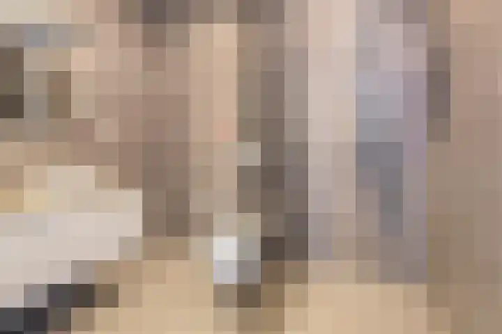 Hamelijnckhof 5 Beek en Donk thumbnail 28