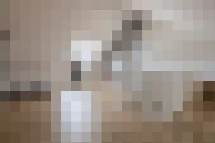 Hamelijnckhof 5 Beek en Donk thumbnail 32
