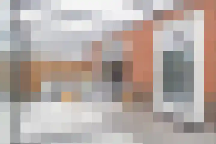 Hamelijnckhof 5 Beek en Donk thumbnail 33