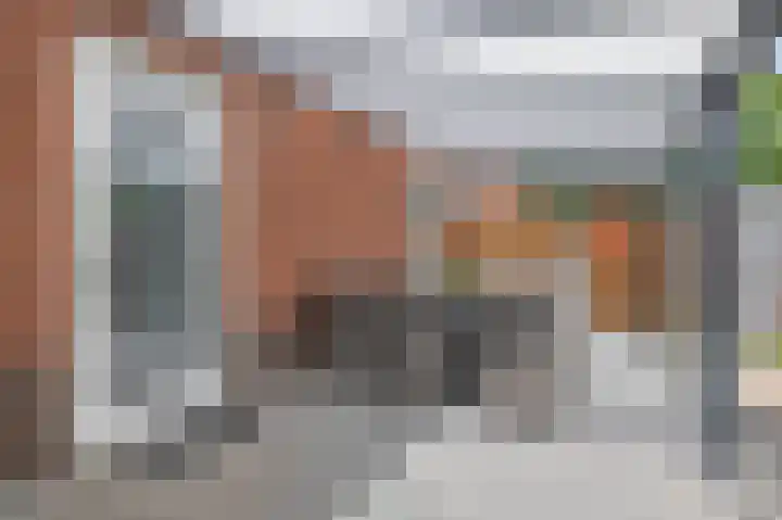 Hamelijnckhof 5 Beek en Donk thumbnail 35