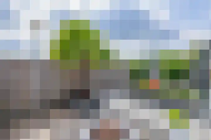 Hamelijnckhof 5 Beek en Donk thumbnail 36