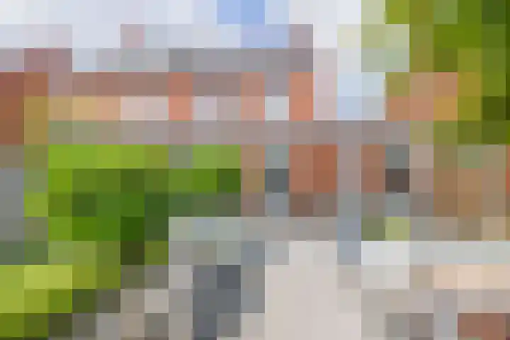 Hamelijnckhof 5 Beek en Donk thumbnail 37