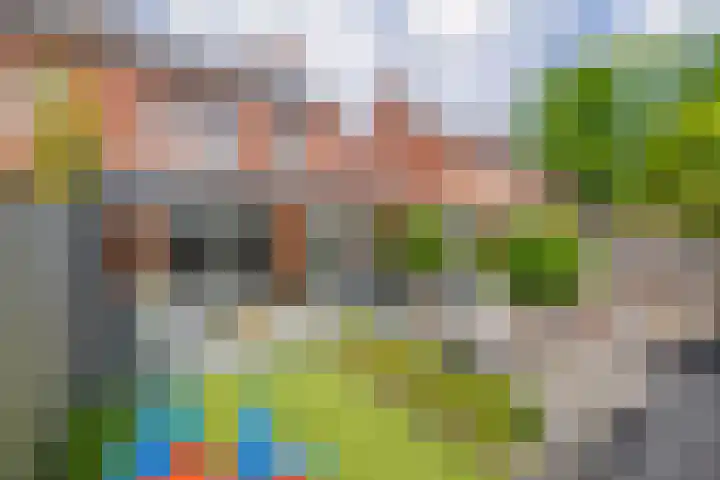 Hamelijnckhof 5 Beek en Donk thumbnail 38